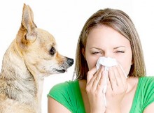 How-to-protect-against-allergies